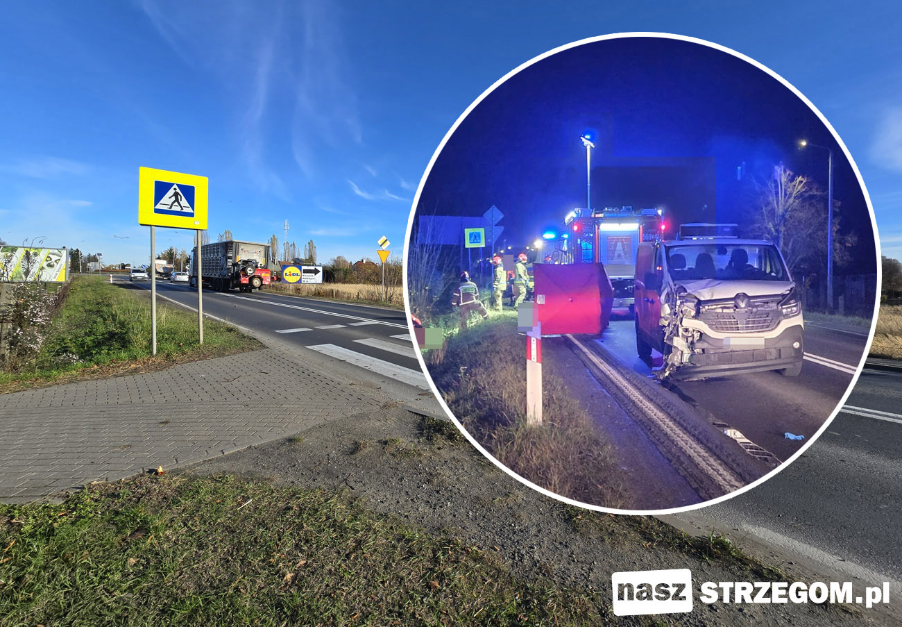 Po tragicznym wypadku w Strzegomiu zarządca krajowej „piątki” – GDDKiA zabiera głos [FOTO] 